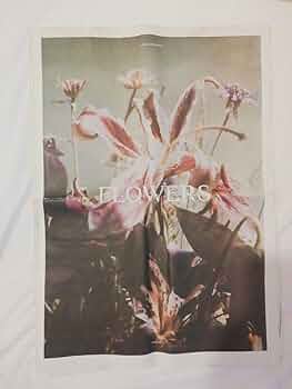 リナ・シェイニウス　FLOWERS FLOWERS - BOOK AND SONS オンラインストア